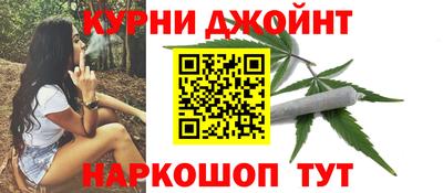 кокс Гатчина