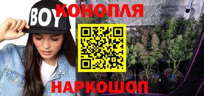 a pvp Гагарин