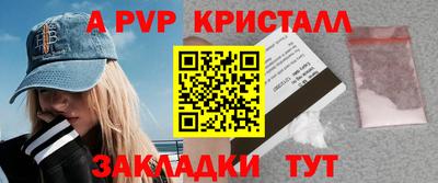 кокс Гатчина