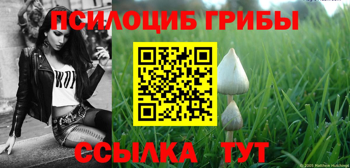 Псилоцибиновые грибы прущие грибы Калуга
